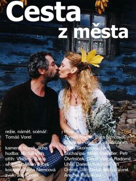 Cesta z mesta